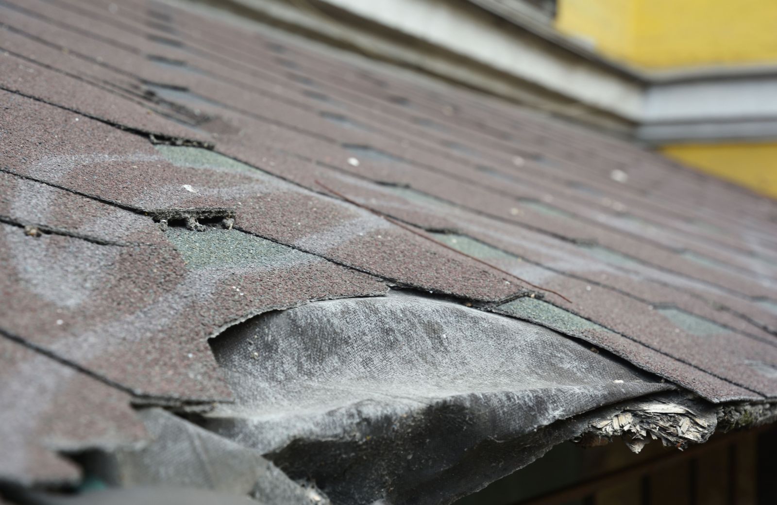 Rosemeyer Roofing LLC Images