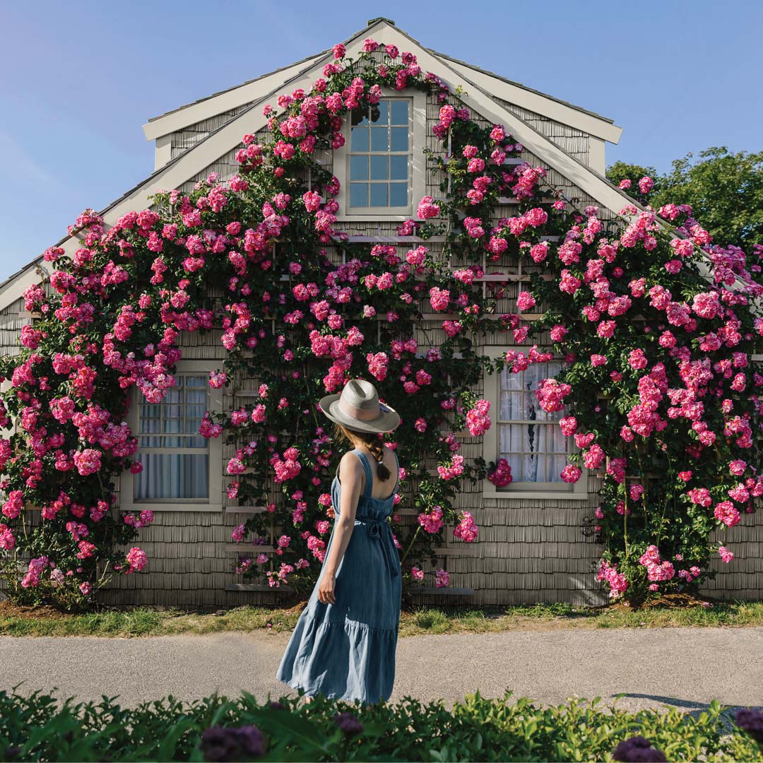 Rosemeyer Roofing LLC Images